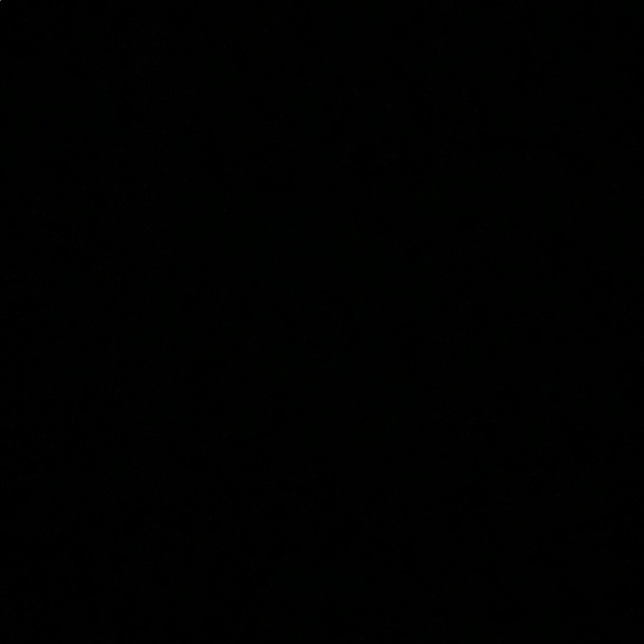 Meet your Posher, Kale - Picture 1 of 1